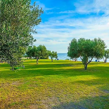 Xenios Anastasia & فندق 5*